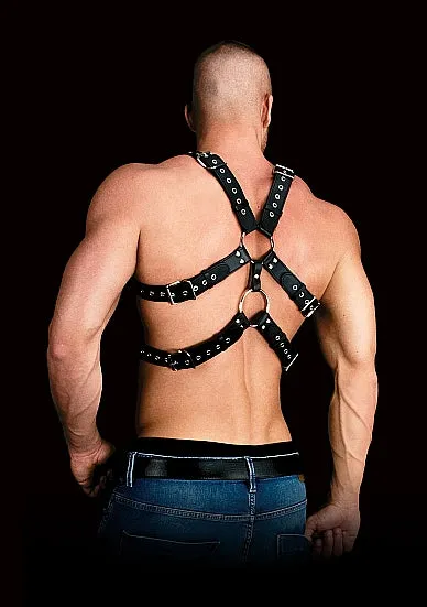 Andres Masculine Masterpiece Chest Harness