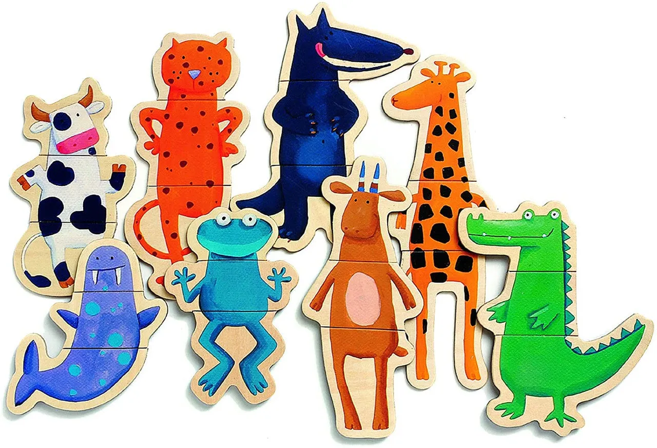 Wooden Magnetics Crazy