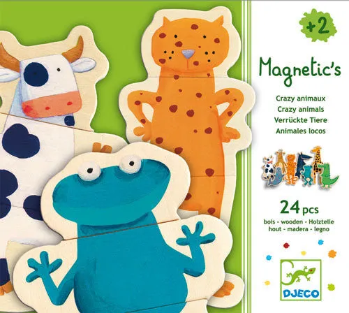 Wooden Magnetics Crazy