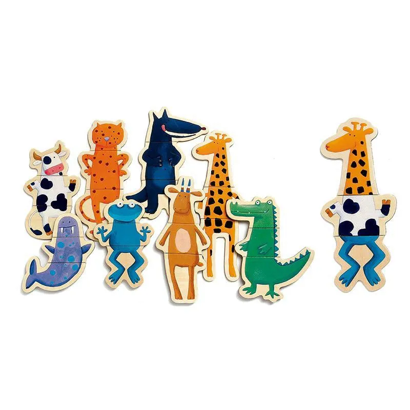 Wooden Magnetics Crazy